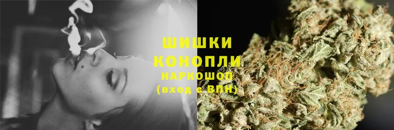 Бошки марихуана OG Kush  Хасавюрт 